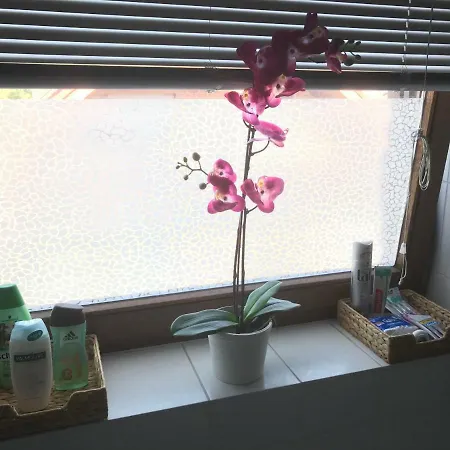 Апартаменты Business ++ Hochwertige Ausstattung Падерборн