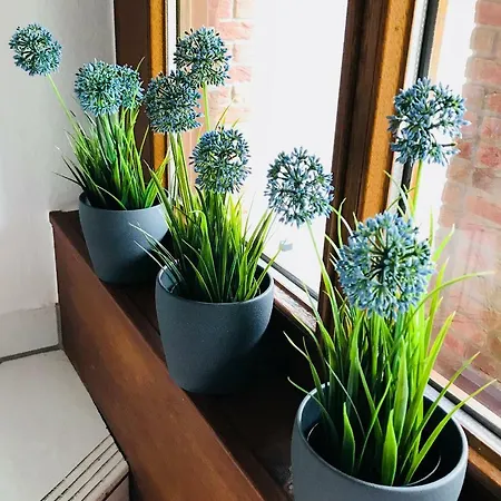 Апартаменты Business ++ Hochwertige Ausstattung *