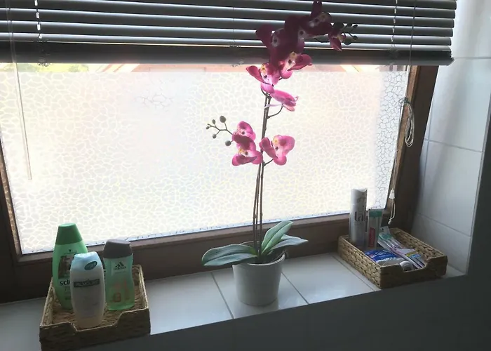 Lejlighed Business ++ Hochwertige Ausstattung Paderborn