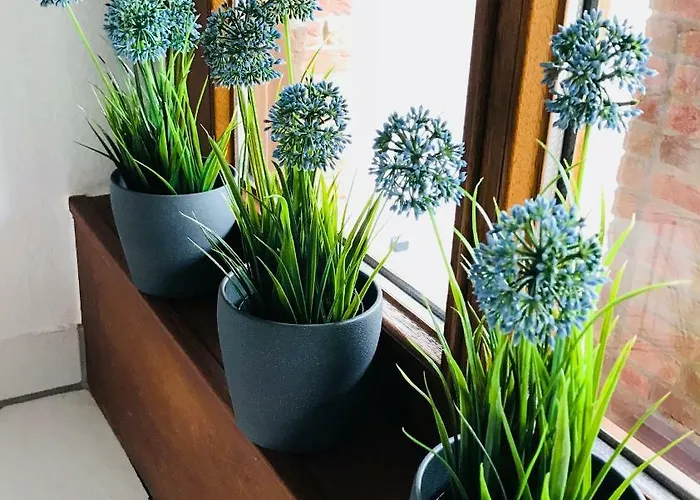 Διαμέρισμα Business ++ Hochwertige Ausstattung *